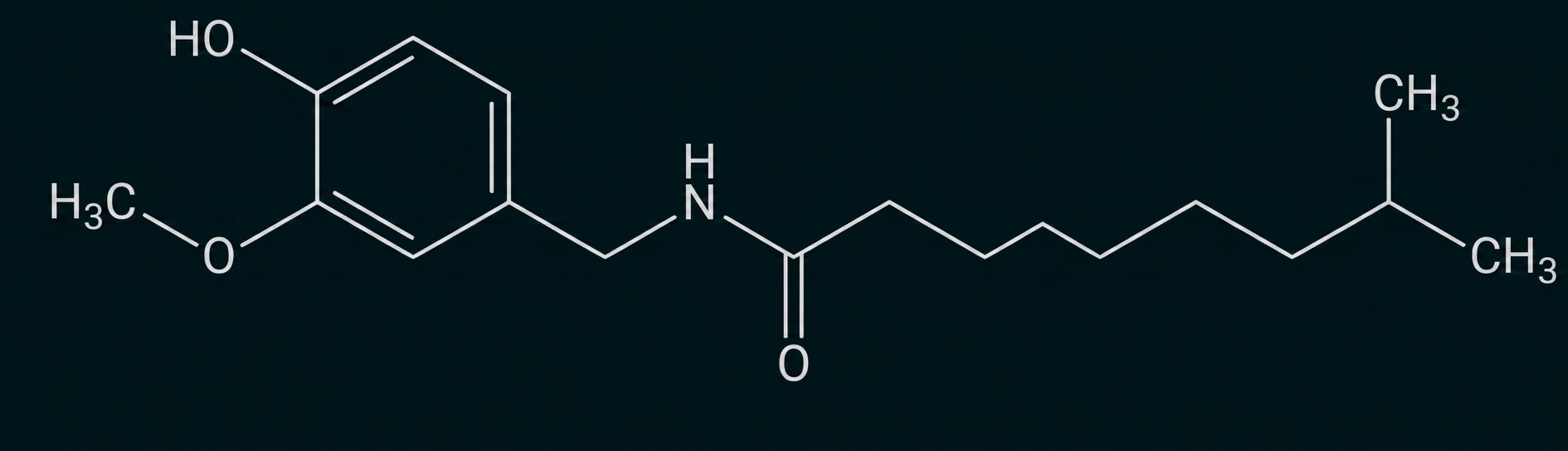 Strukturformel: aromatischer Ring mit OH- und OCH3-Substituenten, verbunden über Amidgruppe mit langer verzweigter Alkylkette